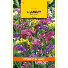 OBZ LIMONIUM, LAMSOOR STATICE GEMENGD