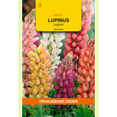 OBZ LUPINUS, LUPINE MINARETTE GEMENGD