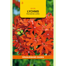 OBZ LYCHNIS, BRANDENDE LIEFDE