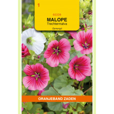 OBZ MALOPE, TRECHTERMALVA GEMENGD