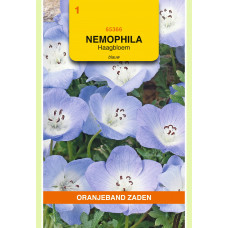 OBZ NEMOPHILA, HAAGBLOEM, BLAUW