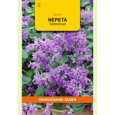 OBZ NEPETA, KATTENKRUID