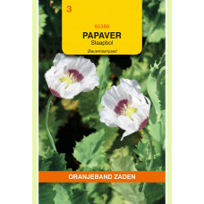 OBZ PAPAVER, SLAAPBOL BLAUWMAANZAAD