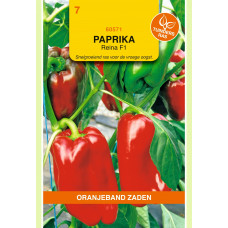 OBZ PAPRIKA REINA F1