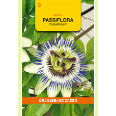 OBZ PASSIFLORA, PASSIEBLOEM