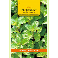 OBZ PEPERMUNT
