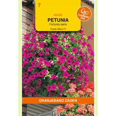 OBZ PETUNIA PURPLE WAVE F1, FORTUNIA SERIE
