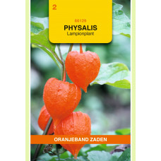 OBZ PHYSALIS, LAMPIONPLANT