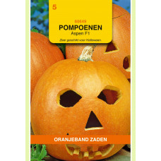 OBZ POMPOENEN ASPEN