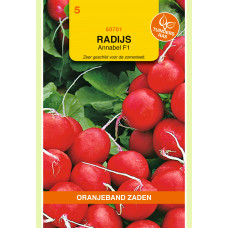 OBZ RADIJS ANNABEL F1
