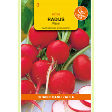 OBZ RADIJS RAXE