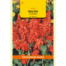 OBZ SALVIA, VUURSALIE ST JANSVUUR