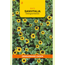 OBZ SANVITALIA, DWERGZONNEROOS GEEL