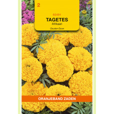 OBZ TAGETES, AFRIKAAN GOUDEN EEUW