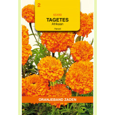 OBZ TAGETES, AFRIKAAN HAWAII