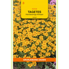 OBZ TAGETES, AFRIKAAN LEMON KLEINBLOEMIG, GEEL