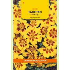 OBZ TAGETES, AFRIKAAN NAUGHTY MARIETTA