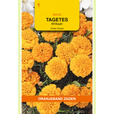 OBZ TAGETES, AFRIKAAN PETITE ORANGE