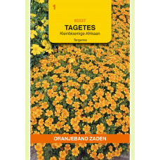 OBZ TAGETES, AFRIKAAN PUMILA KLEINBLOEMIG, ORANJE