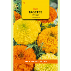 OBZ TAGETES, AFRIKAAN SUNSET GIANTS GEMENGD