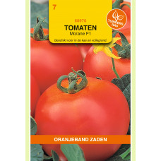 OBZ TOMATEN MORANE F1