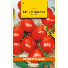 OBZ TOMATEN VENTURA (WORDT ROMA VF)