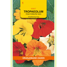 OBZ TROPAEOLUM, OOST-INDISCHE KERS ENKELBLOEMIG HOOG