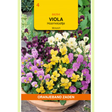 OBZ VIOLA, HOORNVIOOLTJE GEMENGD