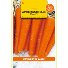 OBZ WINTERWORTELEN ELEGANCE F1 (VH MAJOR)