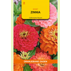 OBZ ZINNIA CALIFORNISCHE REUZEN GEMENGD