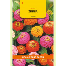 OBZ ZINNIA POMPON GEMENGD