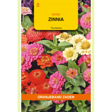 OBZ ZINNIA THUMBELINA GEMENGD