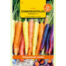 OBZ ZOMERWORTELEN RAINBOW MIX F1